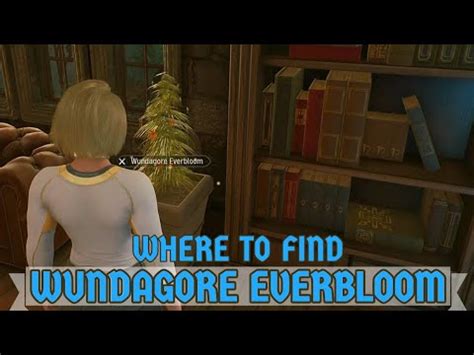 midnight suns wundagore everbloom|Every Wundagore Everbloom Location in Marvels。